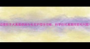 边境牧羊犬真菌感染与毛发护理全攻略科学应对真菌性脱毛问题