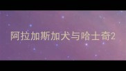 阿拉加斯加犬与哈士奇