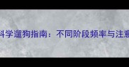 哈士奇科学遛狗指南不同阶段频率与注意事项全