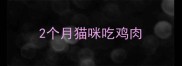 2个月猫咪吃鸡肉