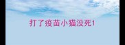 打了疫苗小猫没死