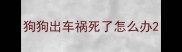 狗狗出车祸死了怎么办