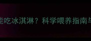 金毛犬能不能吃冰淇淋科学喂养指南与注意事项全