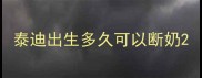 泰迪出生多久可以断奶