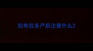 拉布拉多产后注意什么
