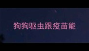 狗狗驱虫跟疫苗能