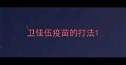 卫佳伍疫苗的打法