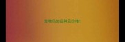 宠物鸟的品种及价格