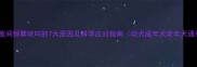 狗狗夜间频繁吠叫的7大原因及科学应对指南幼犬成年犬老年犬通用