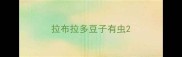 拉布拉多豆子有虫