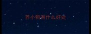 养小狗有什么好处