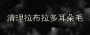 清理拉布拉多耳朵毛