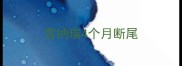 雪纳瑞4个月断尾