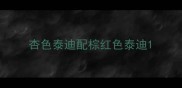 杏色泰迪配棕红色泰迪