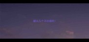罐头几个月的猫吃