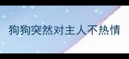 狗狗突然对主人不热情