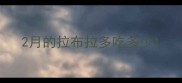 2月的拉布拉多吃多少