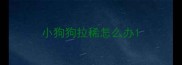 小狗狗拉稀怎么办