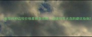 金华纯种边牧价格最新全攻略边境牧羊犬选购避坑指南