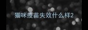 猫咪疫苗失效什么样
