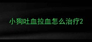 小狗吐血拉血怎么治疗