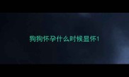 狗狗怀孕什么时候显怀