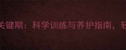 拉布拉多犬成长关键期科学训练与养护指南轻松告别拆家困扰