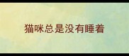 猫咪总是没有睡着