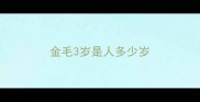 金毛3岁是人多少岁