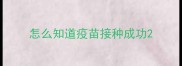 怎么知道疫苗接种成功