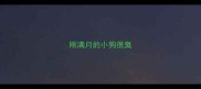 刚满月的小狗很臭
