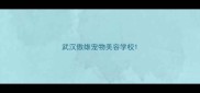 武汉傲雄宠物美容学校