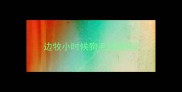 边牧小时候狗毛很短吗