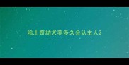 哈士奇幼犬养多久会认主人