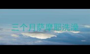 三个月萨摩耶洗澡