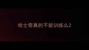 哈士奇真的不能训练么