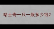 哈士奇一只一般多少钱