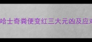 警惕哈士奇粪便变红三大元凶及应对指南