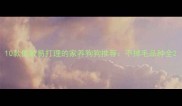10款低敏易打理的家养狗狗推荐不掉毛品种全