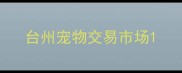 台州宠物交易市场