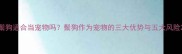 鬃狗适合当宠物吗鬃狗作为宠物的三大优势与五大风险