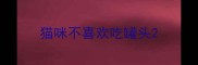 猫咪不喜欢吃罐头