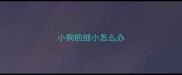 小狗的细小怎么办