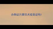 办狗证只要狂犬疫苗证吗