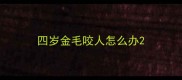 四岁金毛咬人怎么办
