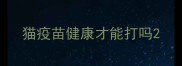 猫疫苗健康才能打吗
