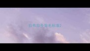 拉布拉多背毛标准