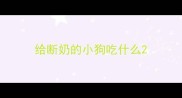 给断奶的小狗吃什么