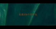 东德犬8个月个头
