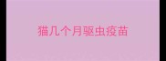 猫几个月驱虫疫苗